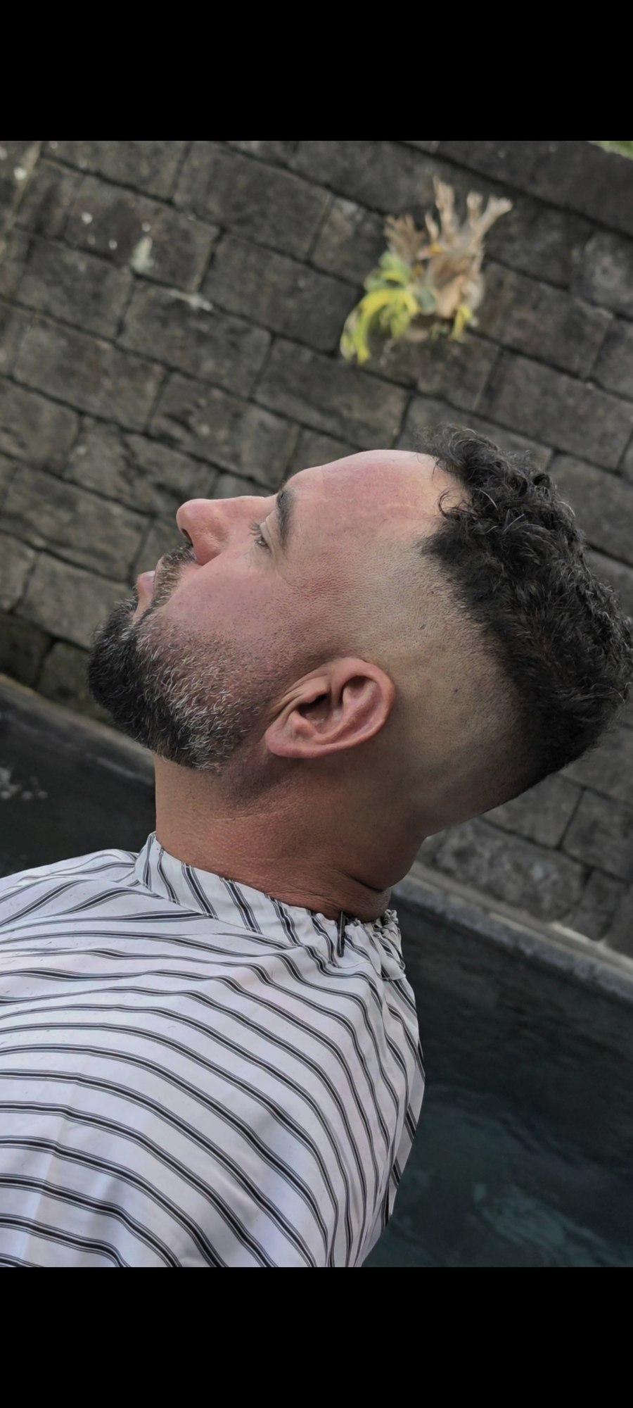 Side profile of a curly haircut with a skin fade and shaped beard, by Danz